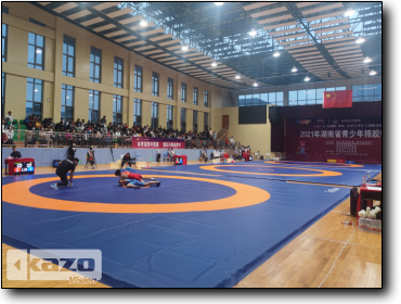 2021年湖南省青少年摔跤锦标赛